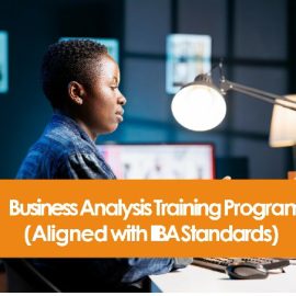 Business Analysis Training Program