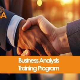 Business Analysis Training Program