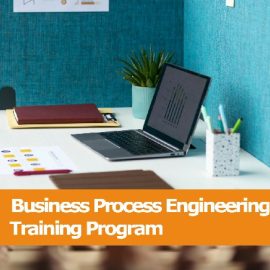 Business Process Engineering Training Program