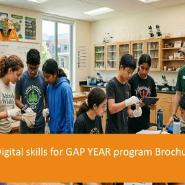 Digital skills for GAP YEAR program
