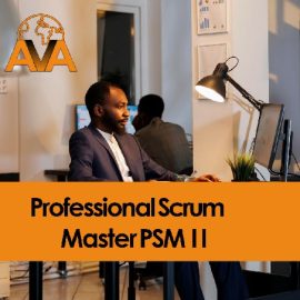Professional Scrum Master PSM I