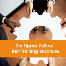 Six Sigma Yellow Belt Training