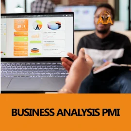 Business Analysis PMI