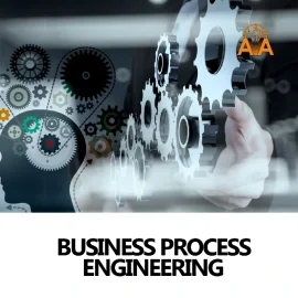 Business Process Engineering
