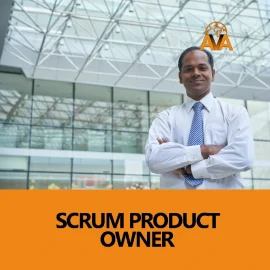 Scrum Product Owner