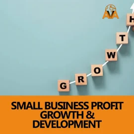 Small Business Profit Growth & Development