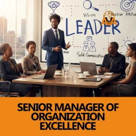 Senior Manager of Organization Excellence
